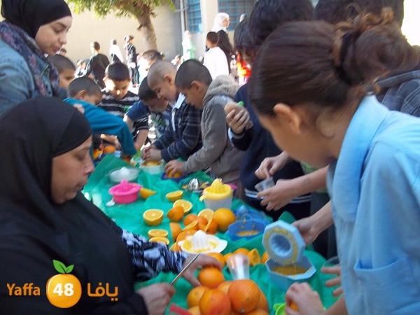 treesnewzahra2 (13).jpg